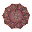 Automatic Folding Umbrella with Case (Large) 