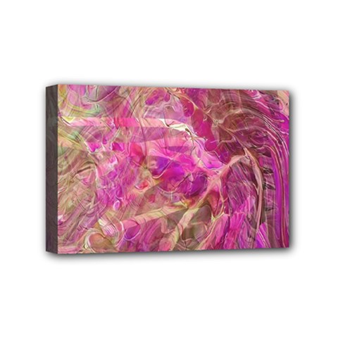 Pink blend Mini Canvas 6  x 4  (Stretched) from ArtsNow.com