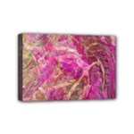 Pink blend Mini Canvas 6  x 4  (Stretched)