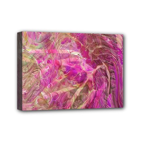 Pink blend Mini Canvas 7  x 5  (Stretched) from ArtsNow.com