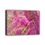 Pink blend Mini Canvas 7  x 5  (Stretched)