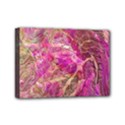 Mini Canvas 7  x 5  (Stretched) 