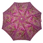 Pink blend Straight Umbrellas