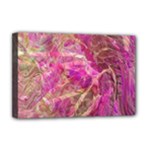 Pink blend Deluxe Canvas 18  x 12  (Stretched)