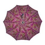 Pink blend Automatic Folding Umbrella with Case (Large)