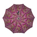 Automatic Folding Umbrella with Case (Large) 