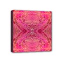 Mini Canvas 4  x 4  (Stretched) 