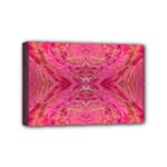 Pink Pour  Mini Canvas 6  x 4  (Stretched)