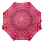 Pink Pour  Straight Umbrellas