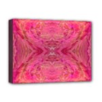 Pink Pour  Deluxe Canvas 16  x 12  (Stretched) 