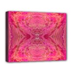 Pink Pour  Deluxe Canvas 20  x 16  (Stretched)