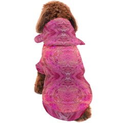 Dog Coat 