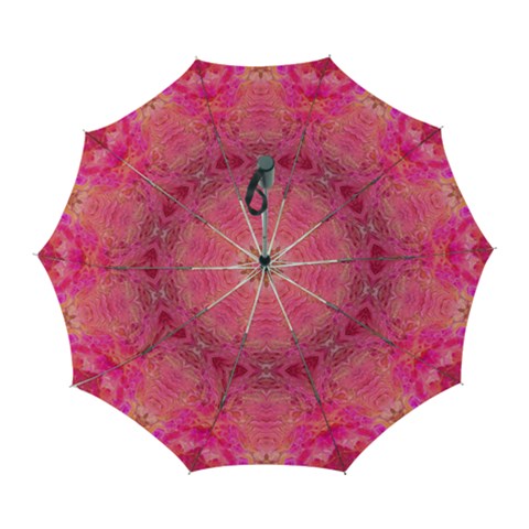 Pink Pour  Automatic Folding Umbrella with Case (Large) from ArtsNow.com