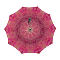 Pink Pour  Automatic Folding Umbrella with Case (Large) from ArtsNow.com