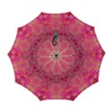 Automatic Folding Umbrella with Case (Large) 