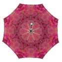 Automatic Folding Umbrella with Case (Medium) 