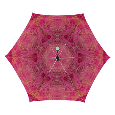 Pink Pour  Automatic Folding Umbrella with Case (Small) from ArtsNow.com