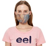 Blue flow Cloth Face Mask (Adult)