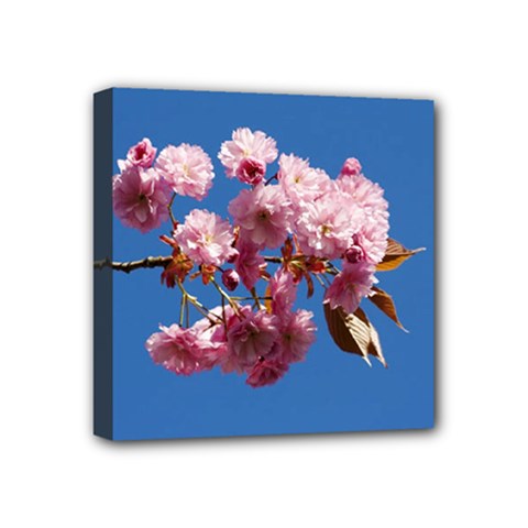 Japanese flowering cherry Mini Canvas 4  x 4  (Stretched) from ArtsNow.com