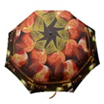 Raining Fruit