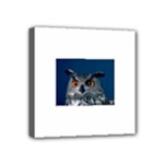 www_pics_am-birds207 Mini Canvas 4  x 4  (Stretched)