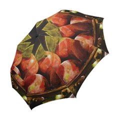 Folding Umbrella 