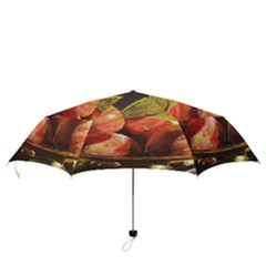 Folding Umbrella 