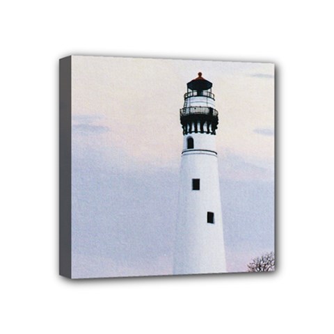 Evening s Light Mini Canvas 4  x 4  (Stretched) from ArtsNow.com