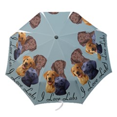 Folding Umbrella 
