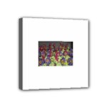 SDC10129 Mini Canvas 4  x 4  (Stretched)