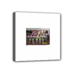 SDC10162 Mini Canvas 4  x 4  (Stretched)