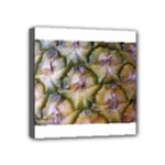 pineapple Mini Canvas 4  x 4  (Stretched)