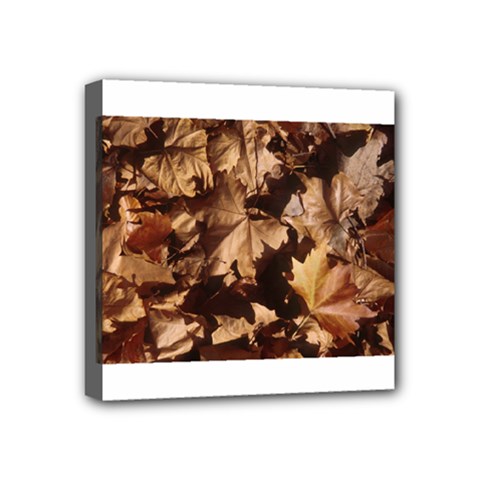 leaves Mini Canvas 4  x 4  (Stretched) from ArtsNow.com