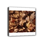 leaves Mini Canvas 4  x 4  (Stretched)