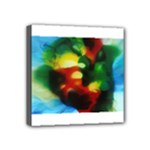 colours-h6w9 Mini Canvas 4  x 4  (Stretched)