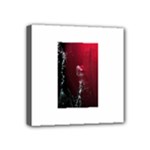 watermark2 Mini Canvas 4  x 4  (Stretched)