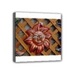 face-sun-i9e Mini Canvas 4  x 4  (Stretched)