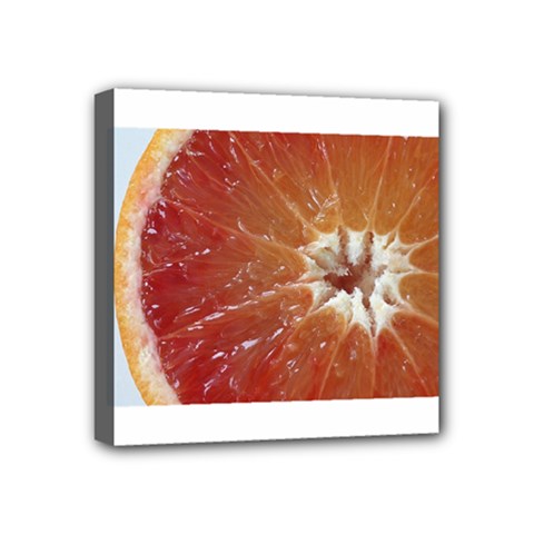 fruits
