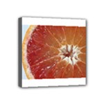 fruits-03 Mini Canvas 4  x 4  (Stretched)