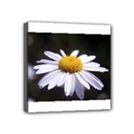 flower-i59e Mini Canvas 4  x 4  (Stretched)
