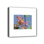 texture-4rs0 Mini Canvas 4  x 4  (Stretched)