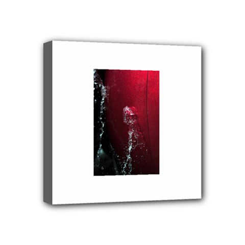 watermark2 Mini Canvas 4  x 4  (Stretched) from ArtsNow.com