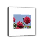 q Mini Canvas 4  x 4  (Stretched)