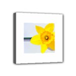 n Mini Canvas 4  x 4  (Stretched)
