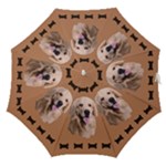 Golden Retriever Portrait Straight Umbrella