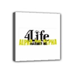 ALPHA 4 life Mini Canvas 4  x 4  (Stretched)