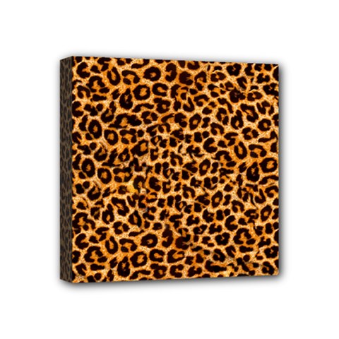 Leopard Mini Canvas 4  x 4  (Stretched) from ArtsNow.com