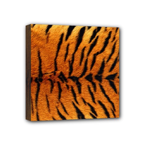 Tiger Mini Canvas 4  x 4  (Stretched) from ArtsNow.com