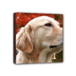 dog-photo cute Mini Canvas 4  x 4  (Stretched)