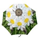 Daisy Umbrella Folding Umbrella